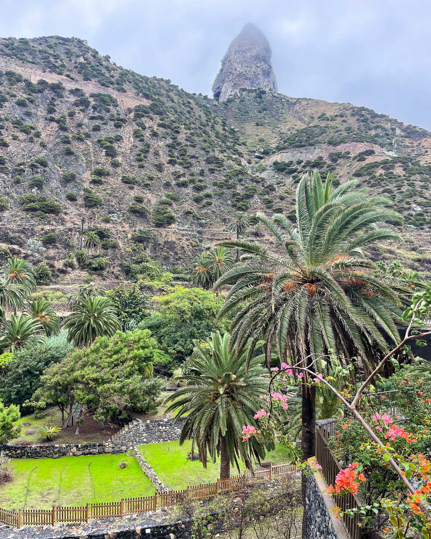 Botanic Garden Vallehermoso La Gomera Photo Heatheronhertravels.com