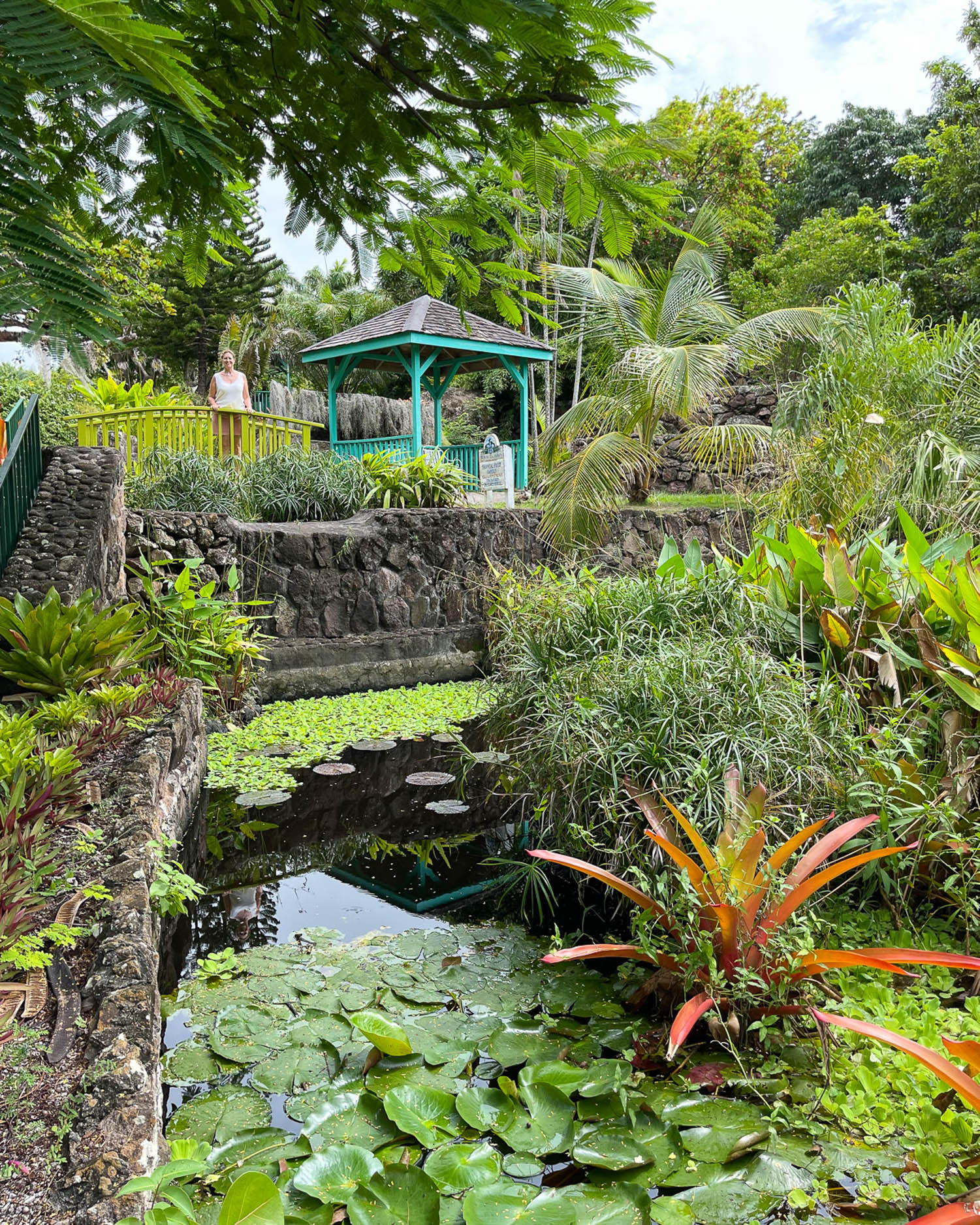 Botanical Garden Nevis Photo Heatheronhertravels.com