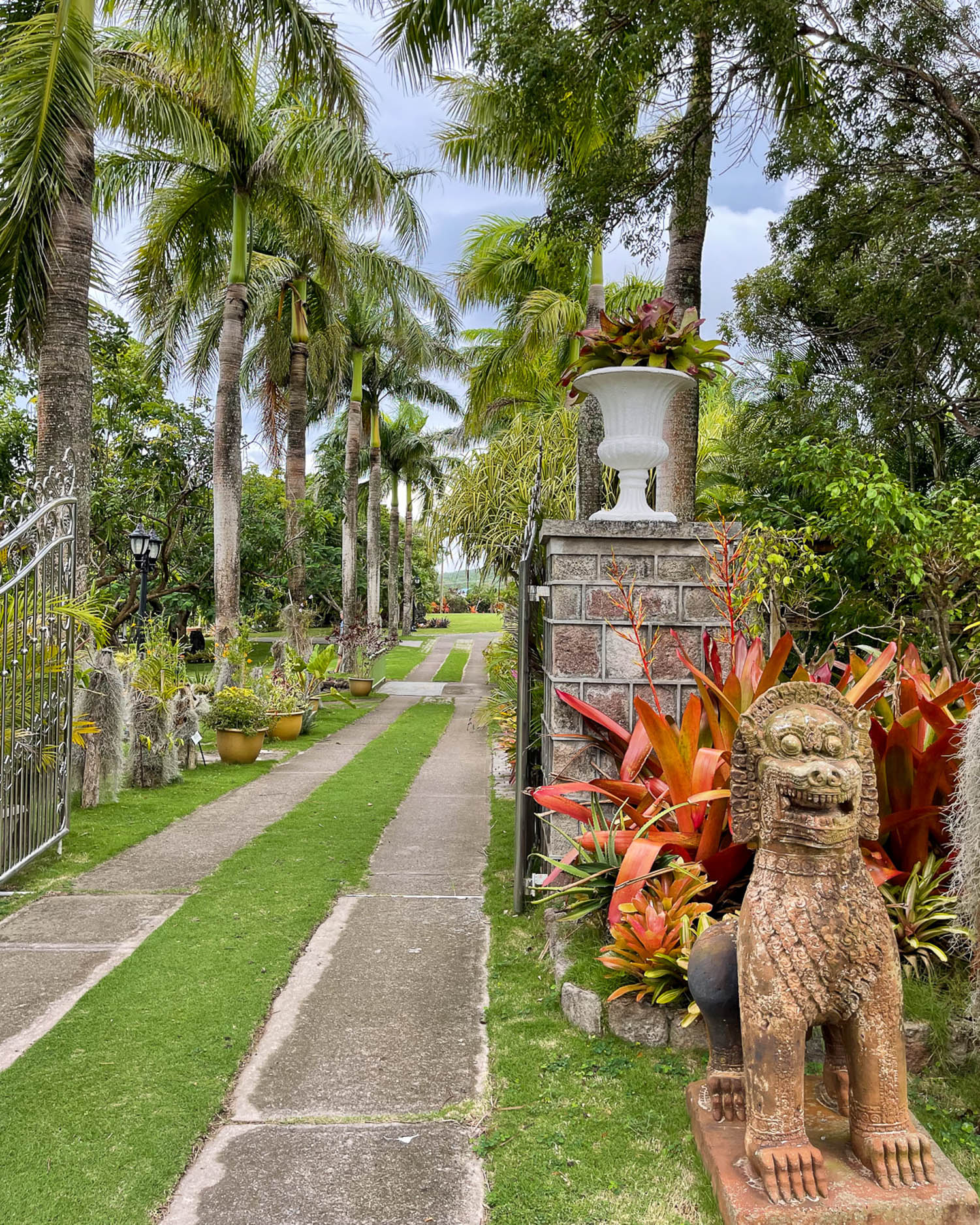 Botanical Garden Nevis Photo Heatheronhertravels.com