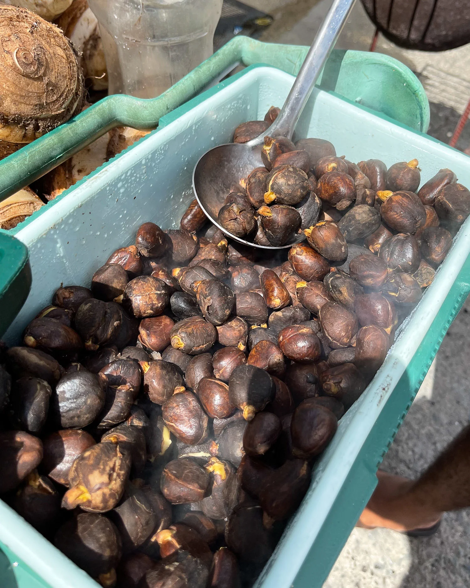 Bread nuts in Saint Lucia Photo Heatheronhertravels.com V2