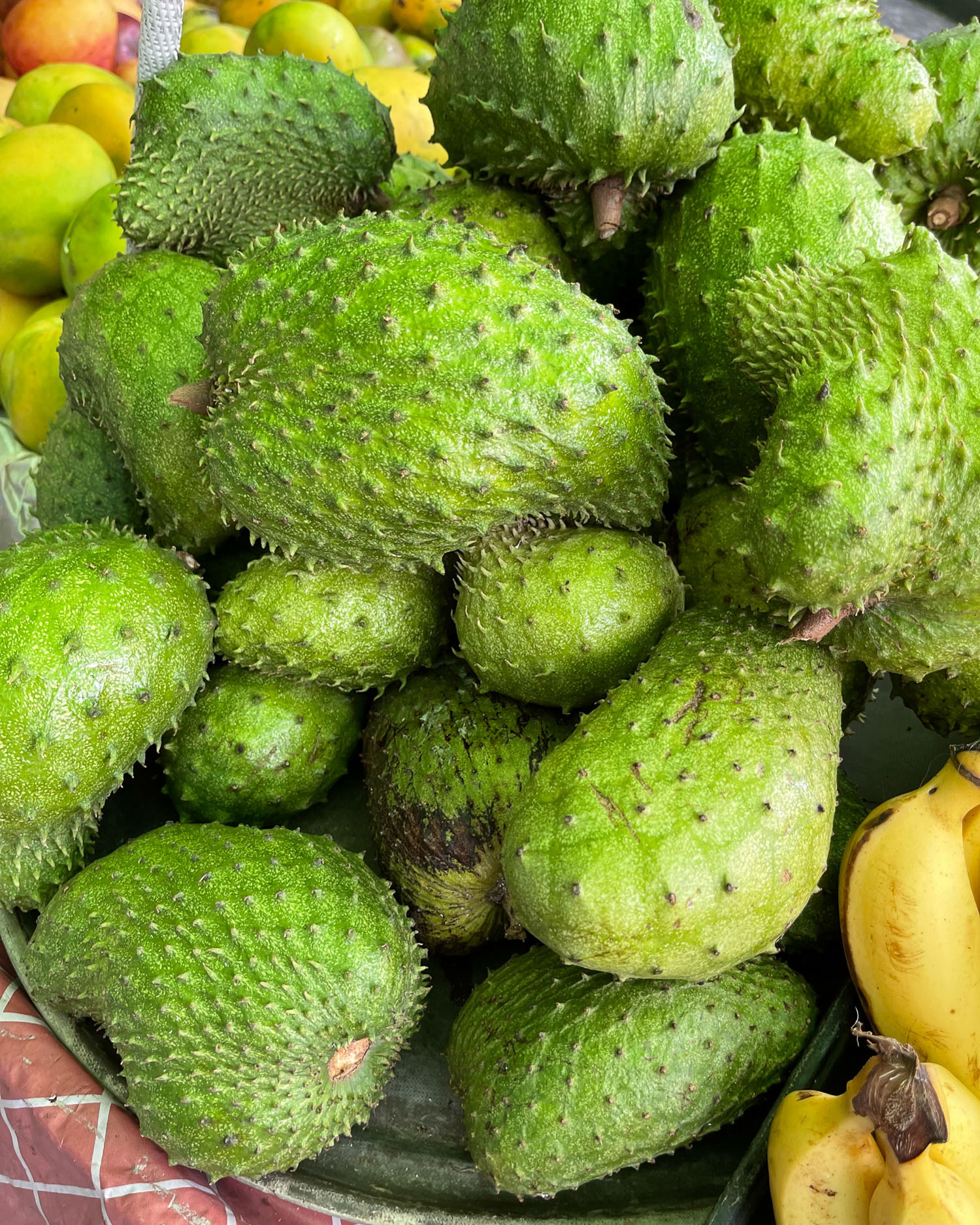 Breadfruit in Saint Lucia Photo Heatheronhertravels.com V2