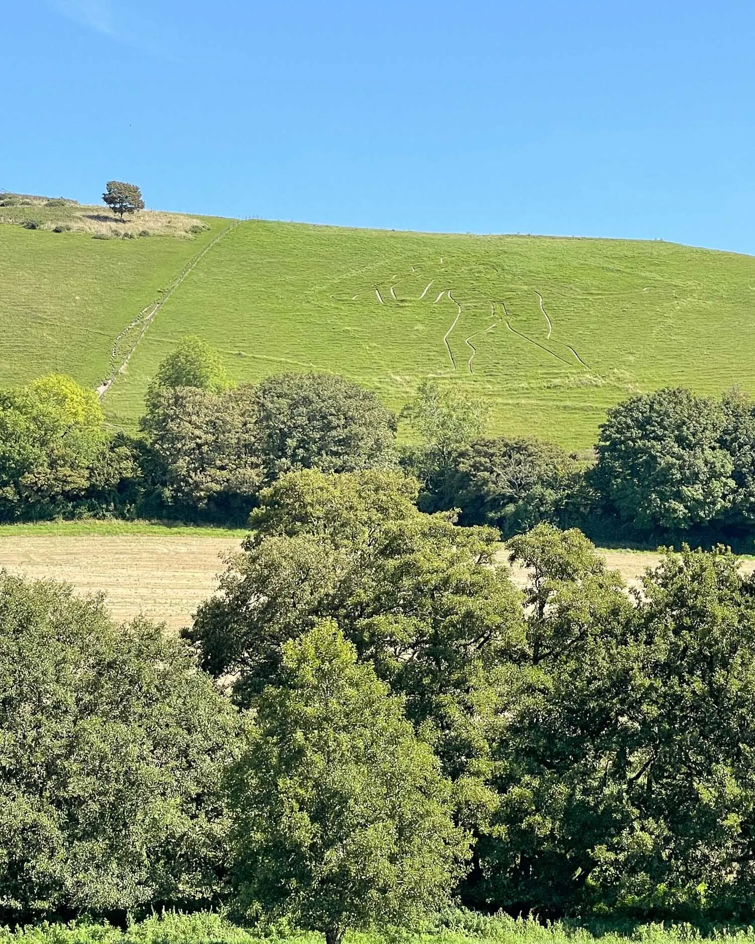 Cerne Abbas Giant Dorset Photo Heatheronhertravels.com