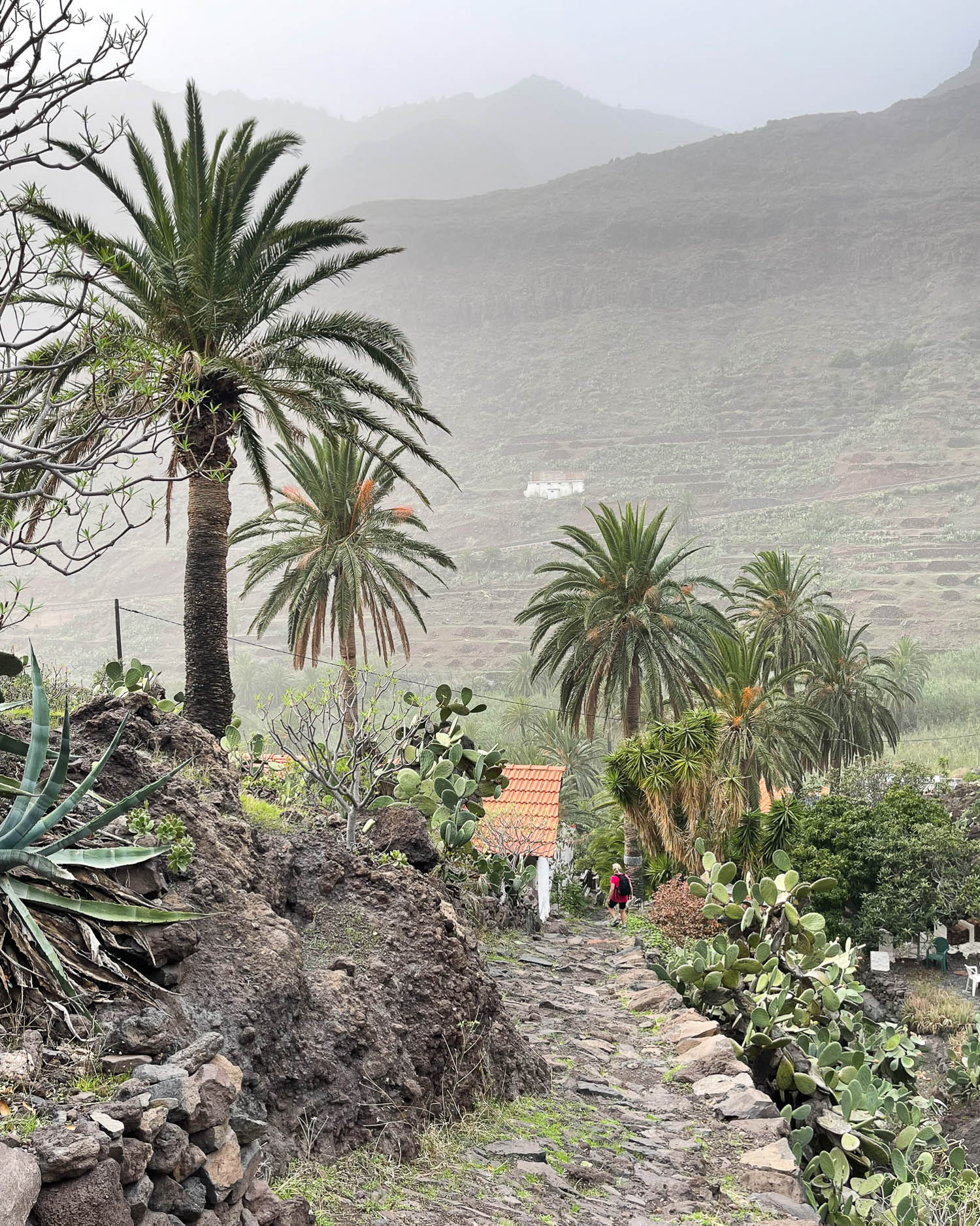 Descent to Valle Gran Rey La Gomera Photo Heatheronhertravels.com