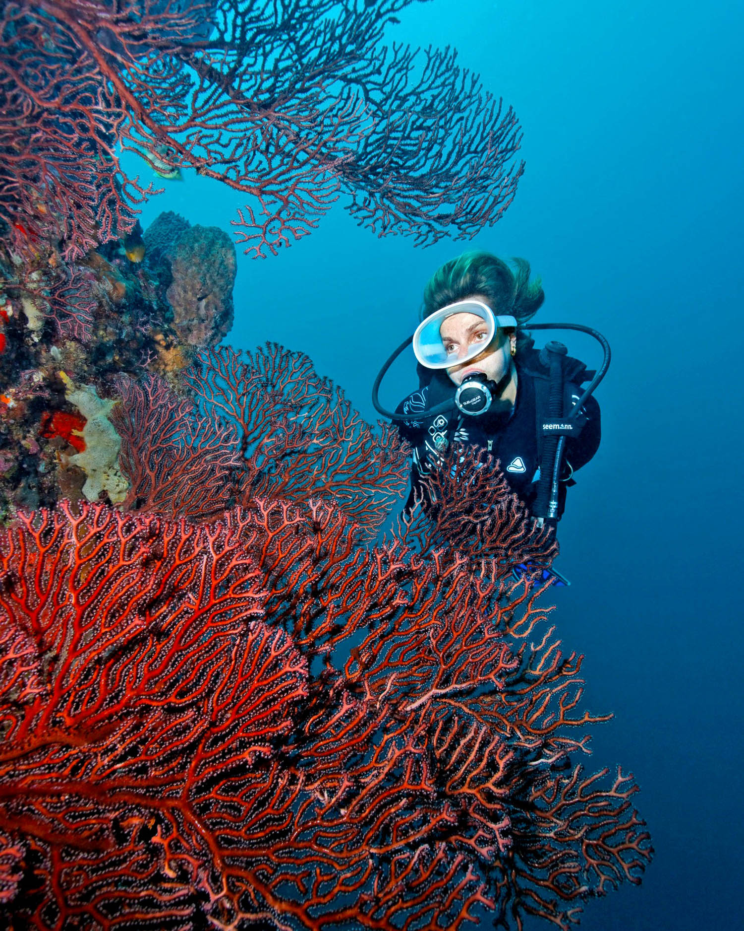 Dive St Lucia Anse Chastanet Photo: Jade Mountain