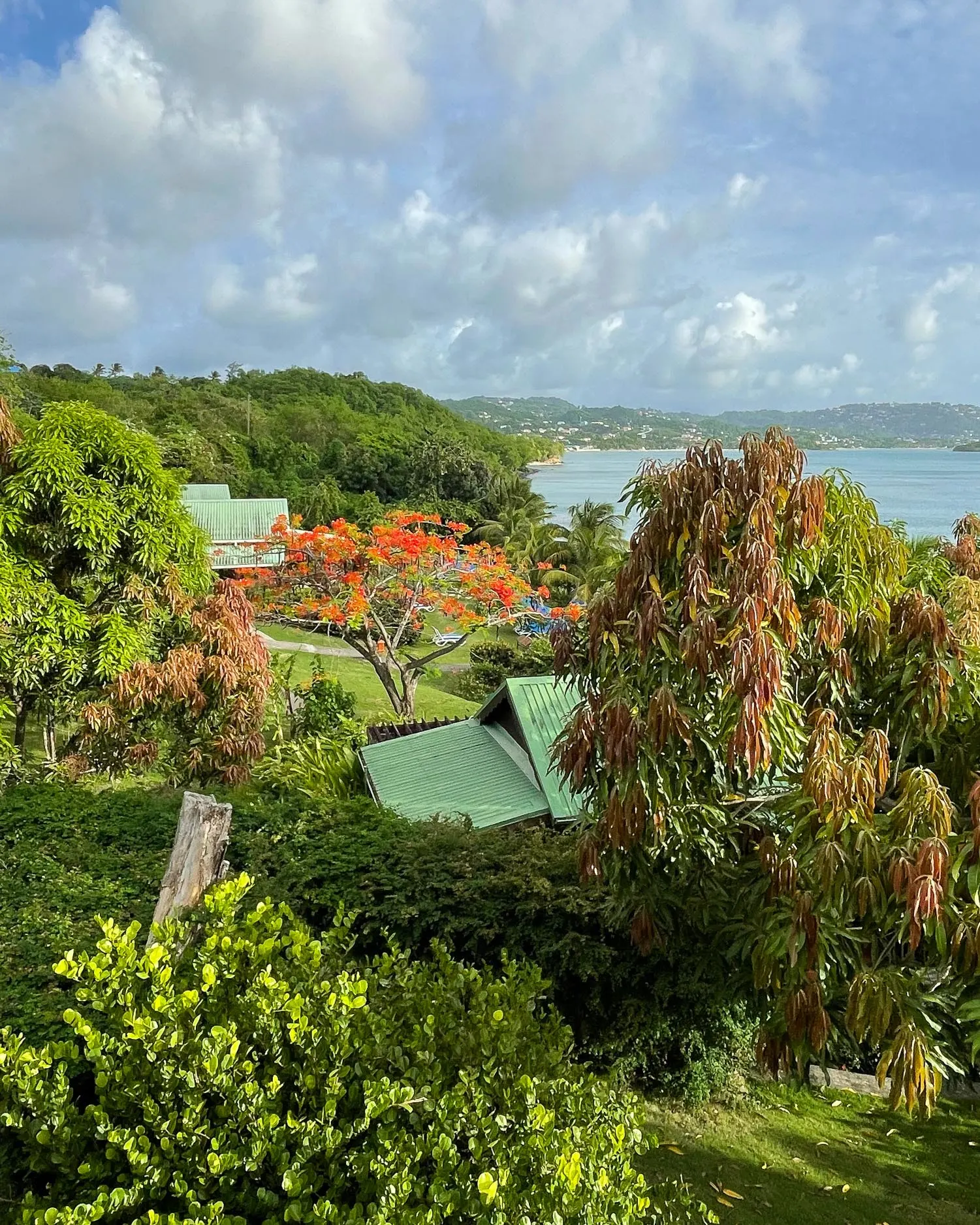 Gardens at Calabash Cove Saint Lucia Photo Heatheronhertravels.c