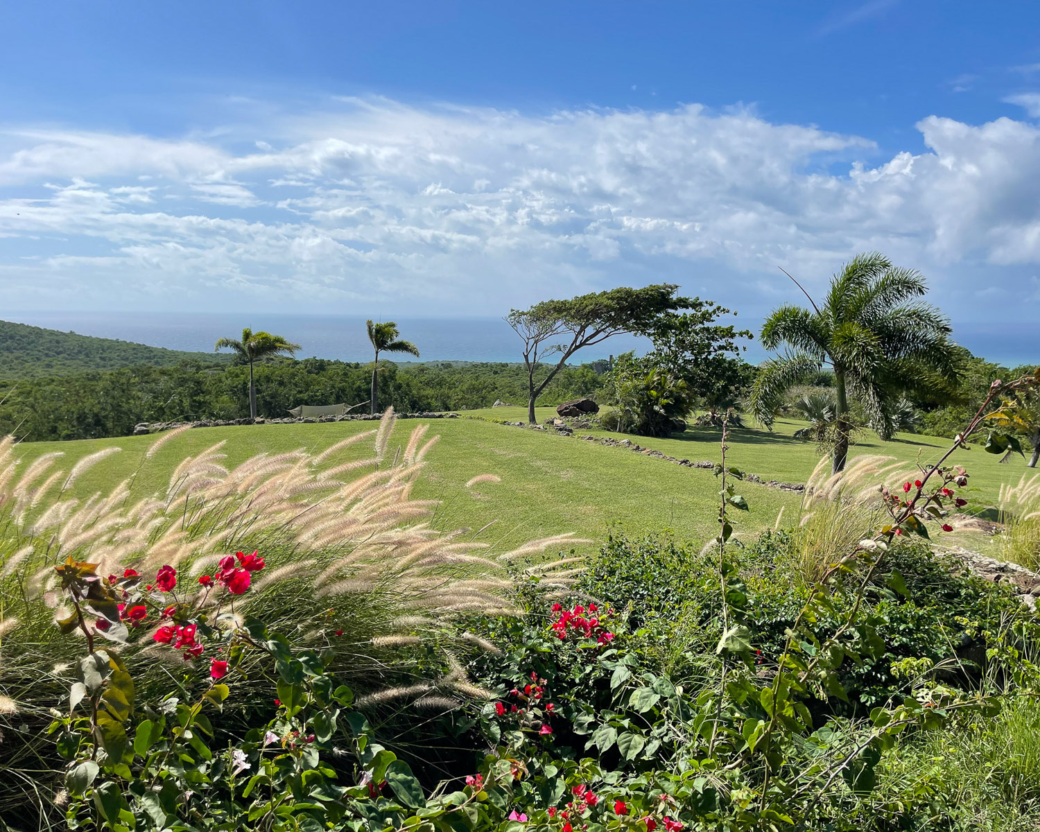 Gardens at Montpelier Plantation and Beach Nevis Photo Heatheronhertravels.com