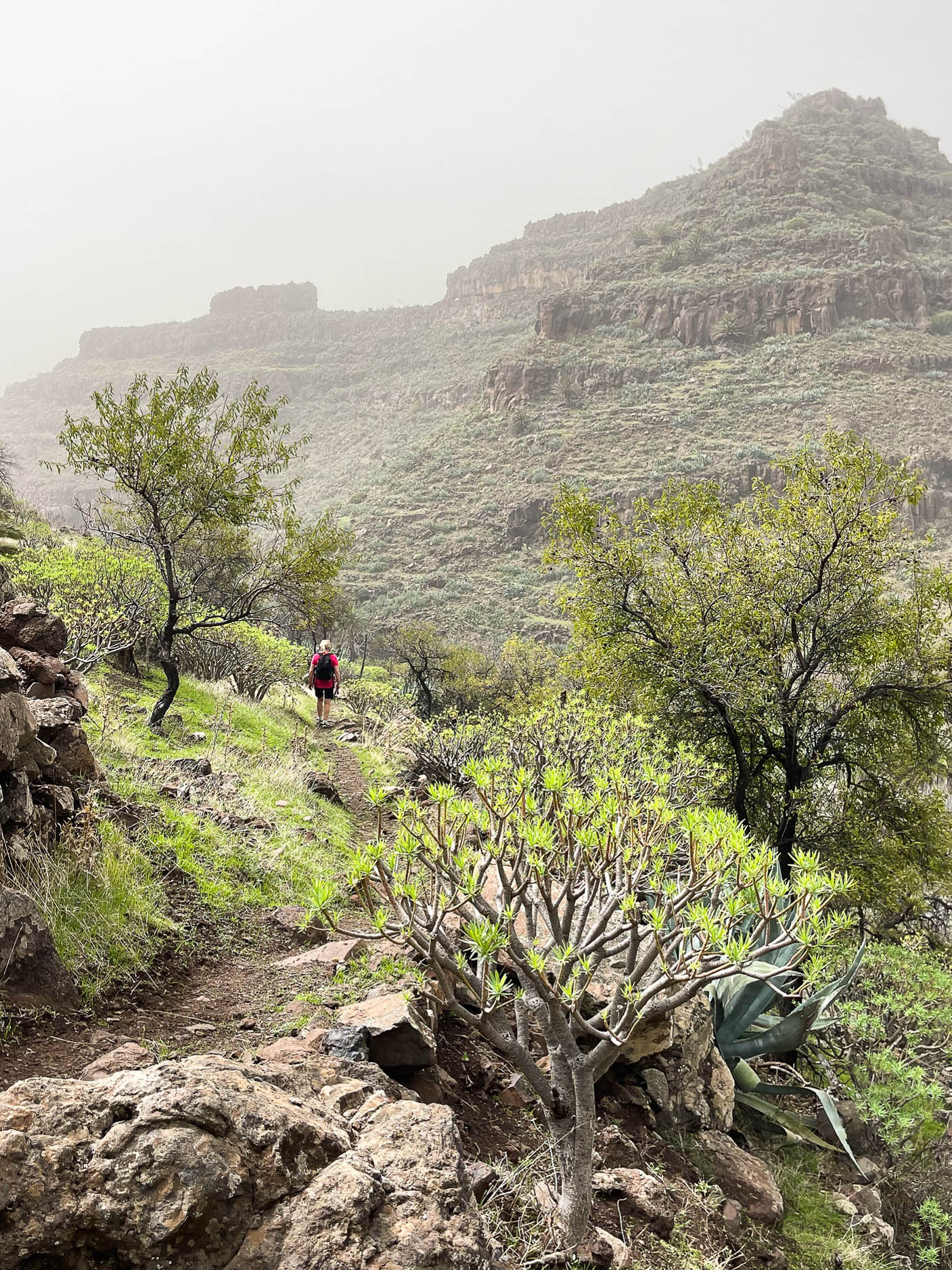 Hiking from Chipude to Valle Gran Rey La Gomera Photo Heatheronhertravels.com