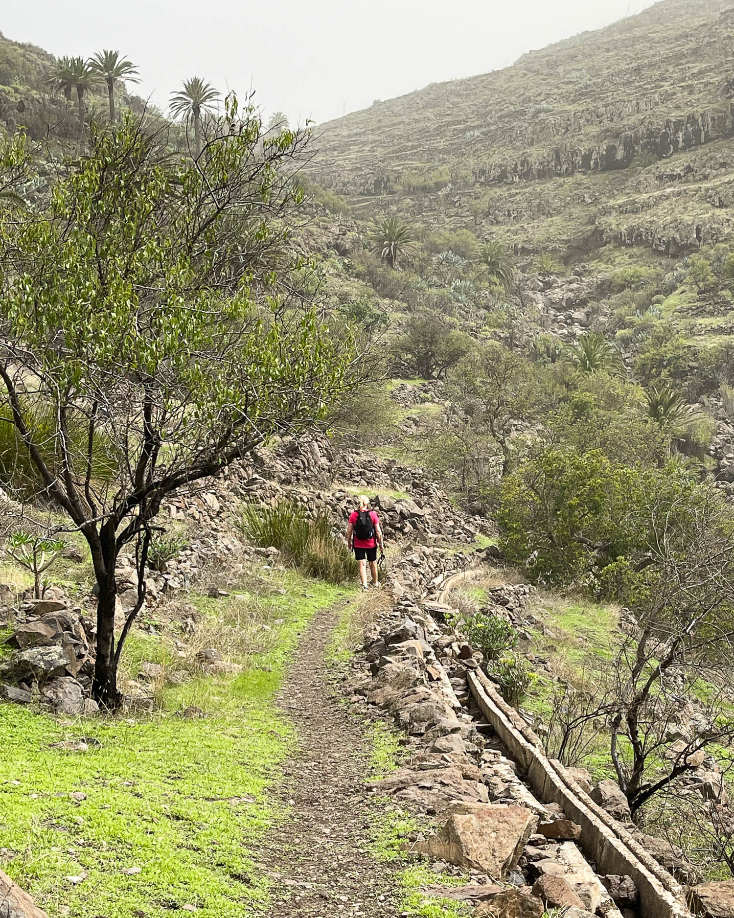 Hiking from Chipude to Valle Gran Rey La Gomera Photo Heatheronhertravels.com