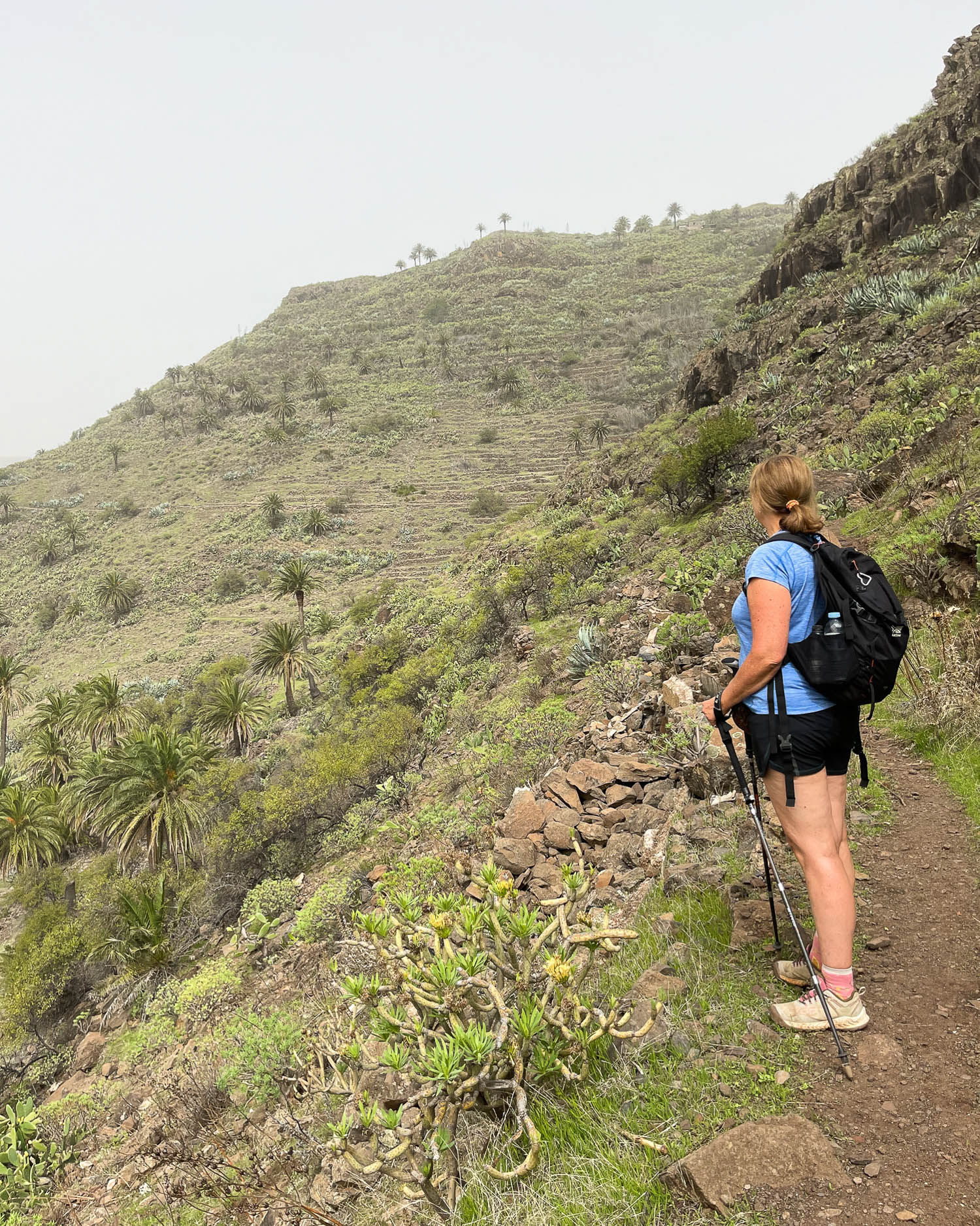 Hiking from Chipude to Valle Gran Rey La Gomera Photo Heatheronhertravels.com