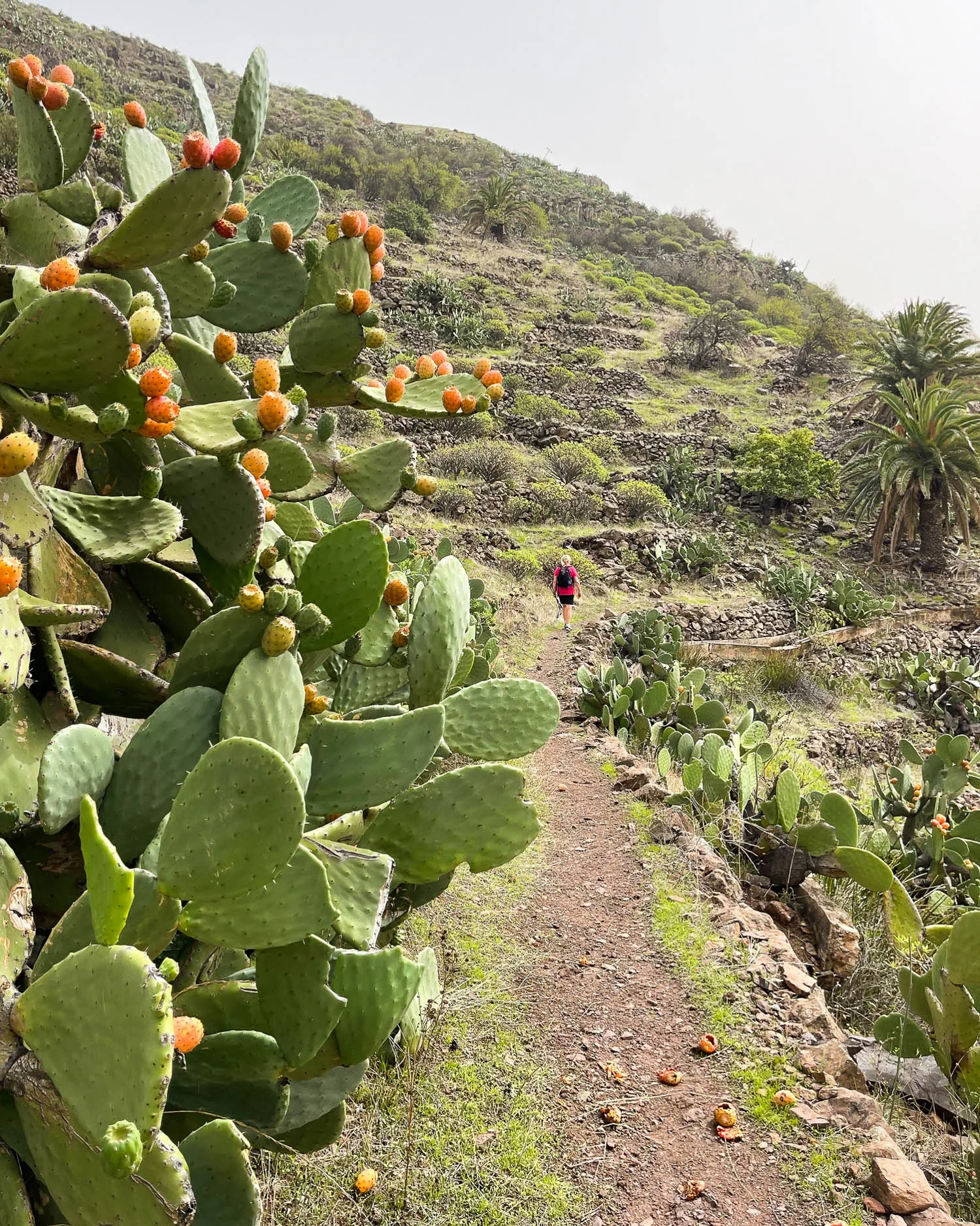 Hiking from Chipude to Valle Gran Rey La Gomera Photo Heatheronhertravels.com