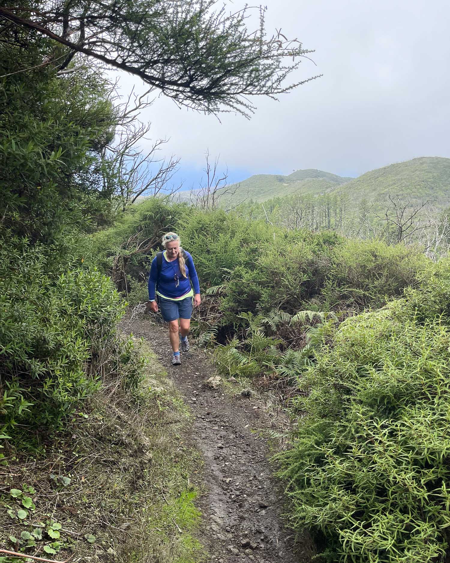 Hiking in Garajonay National Park La Gomera Photo Heatheronhertravels.com