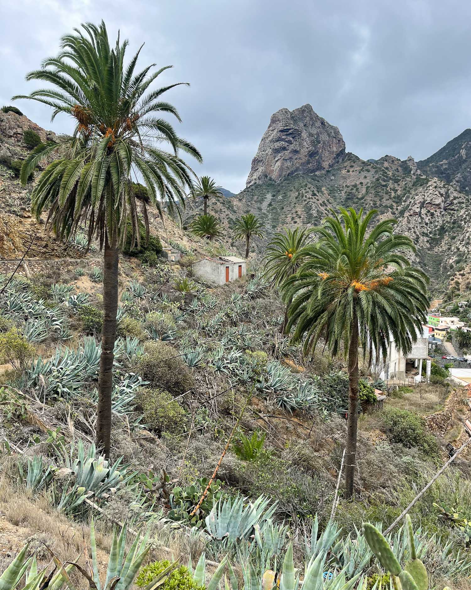 Hiking up from Vallerhermoso La Gomera Photo Heatheronhertravels.com