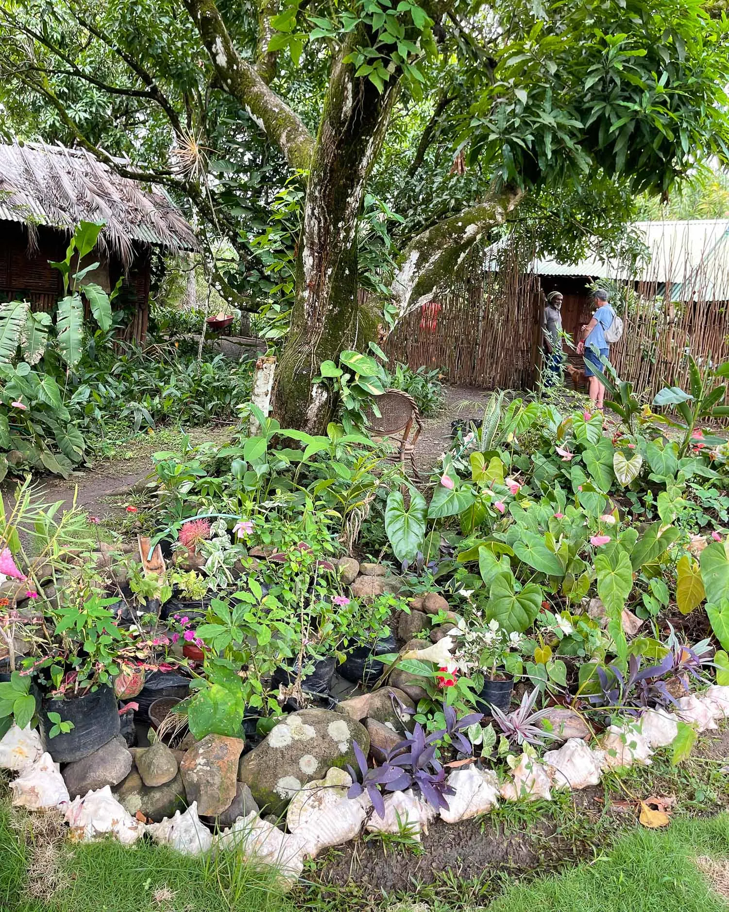 Latille Falls and gardens St Lucia Photo Heatheronhertravels.com