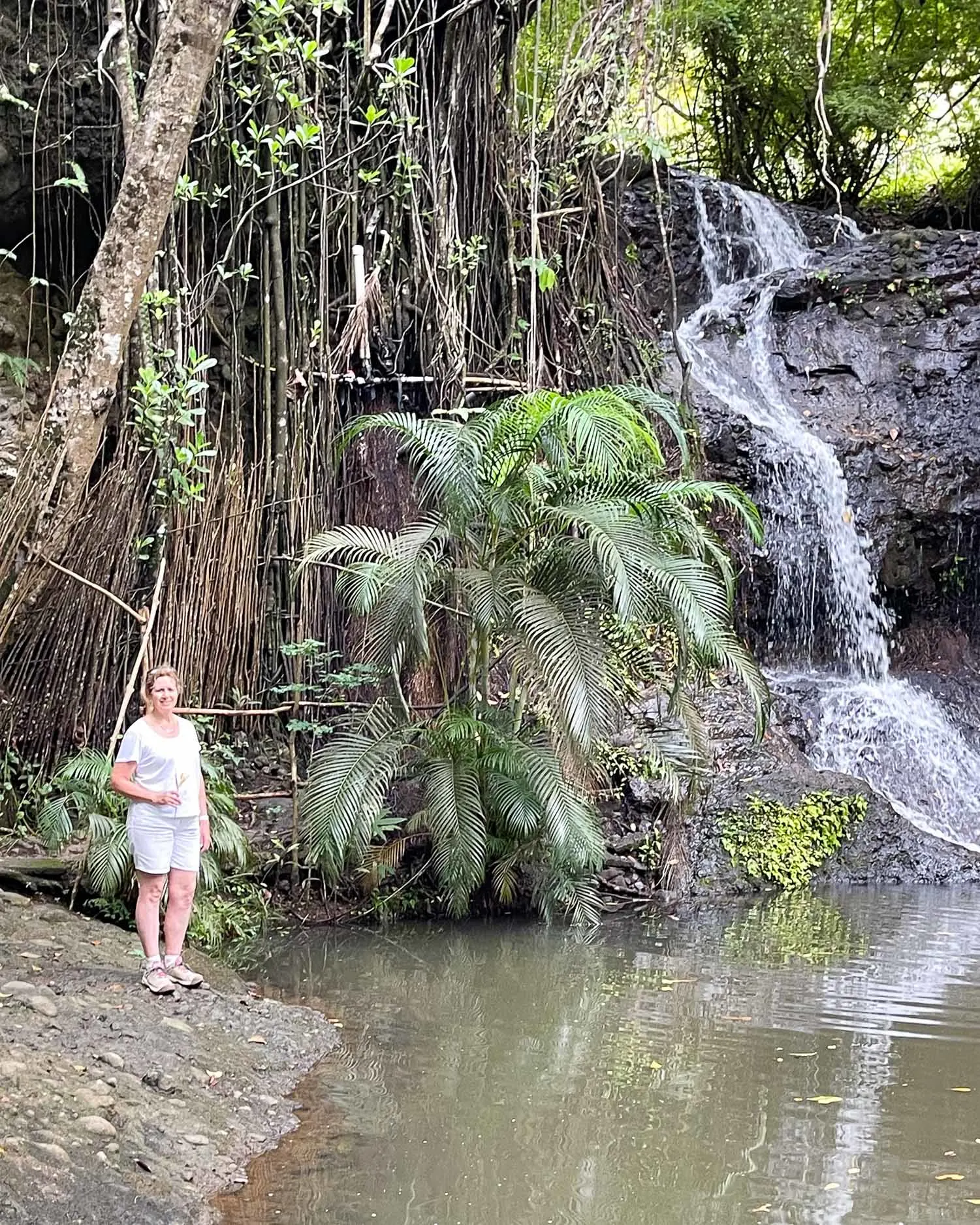 Latille Falls and gardens St Lucia Photo Heatheronhertravels.com