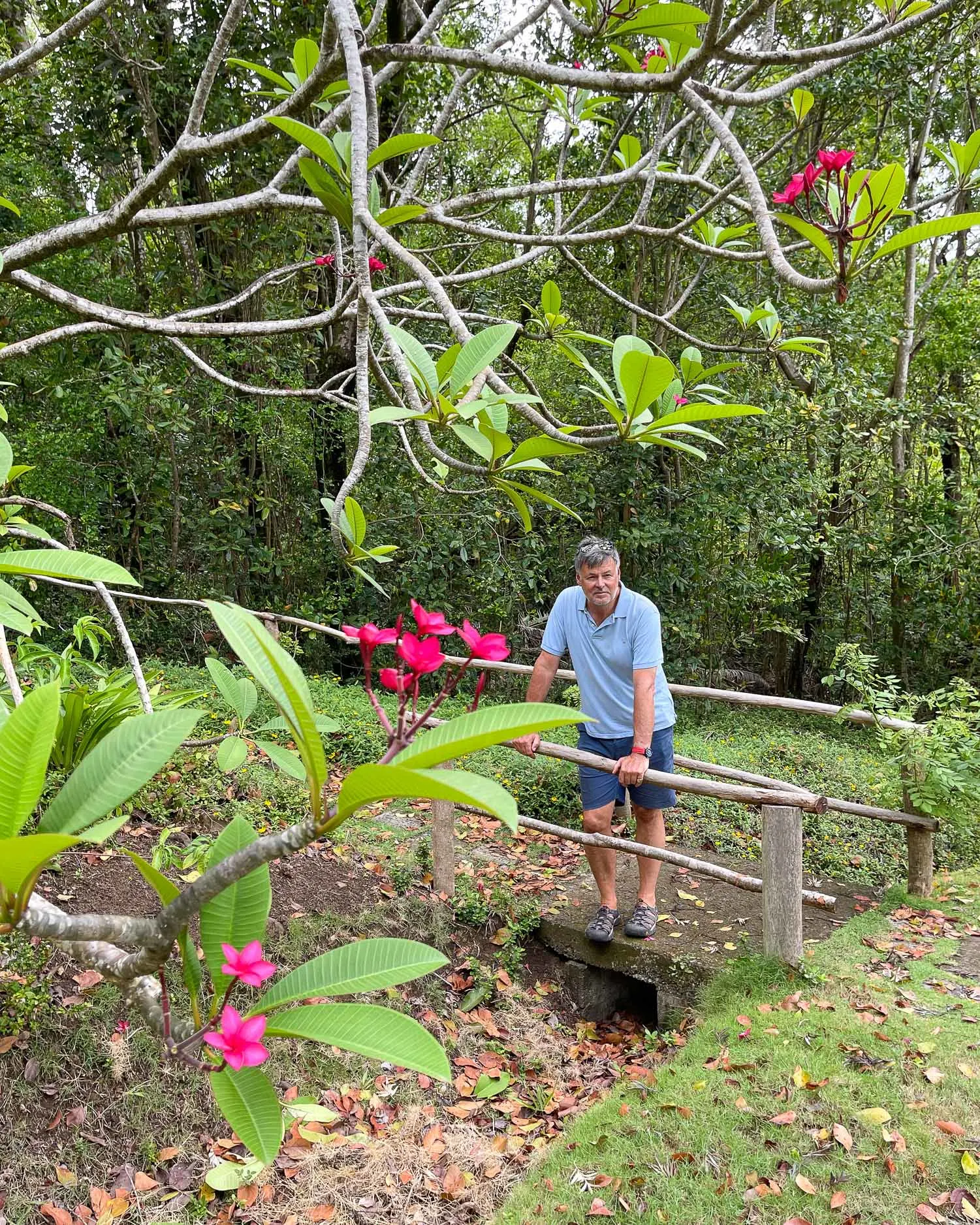 Mamiku Gardens St Lucia Photo Heatheronhertravels.com V2