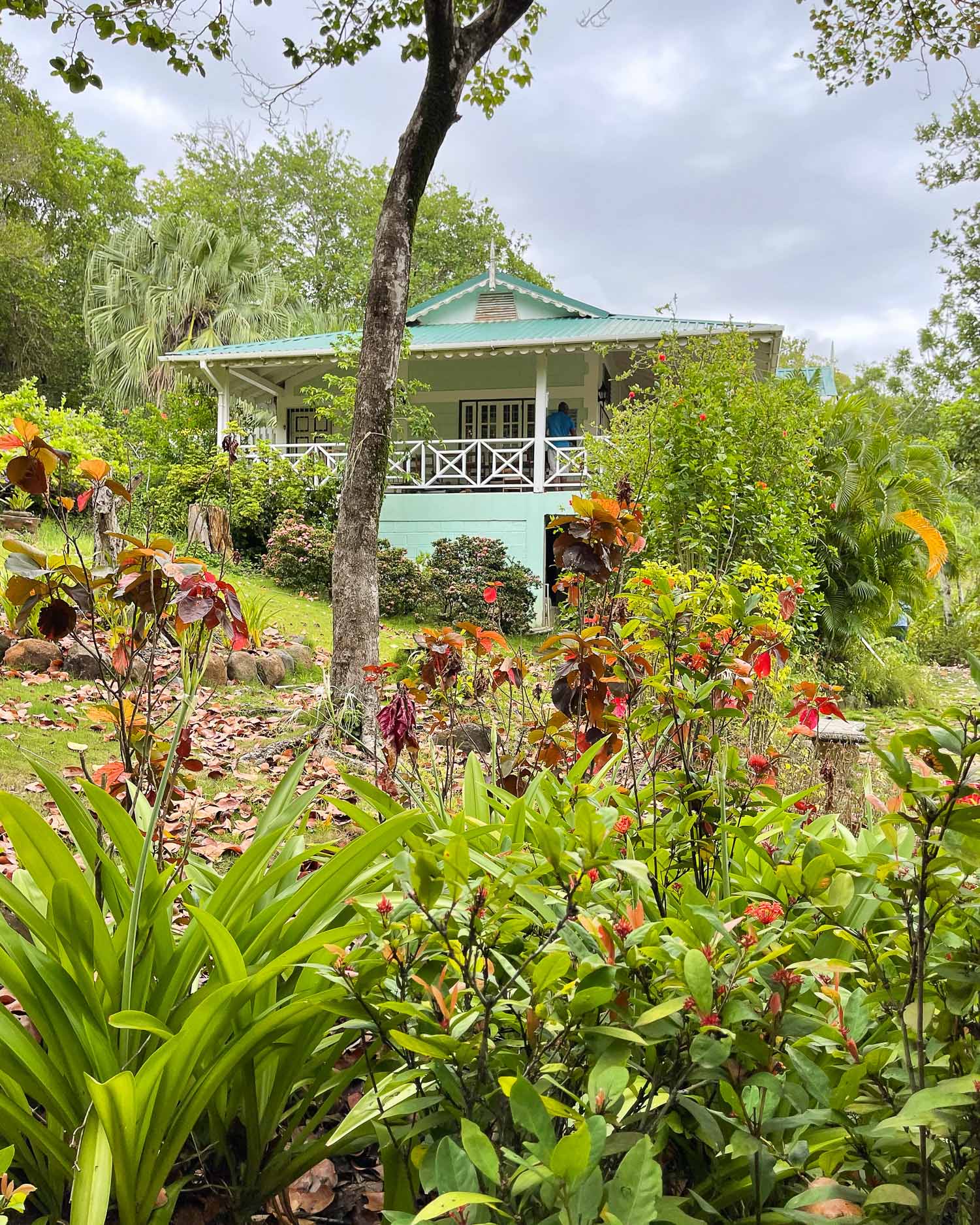 Mamiku Gardens St Lucia Photo Heatheronhertravels.com V2