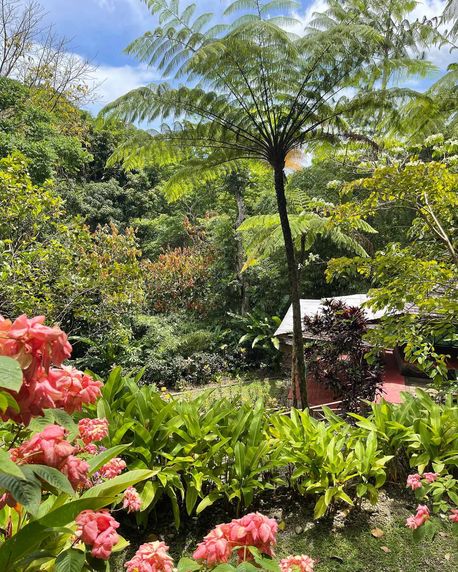 Maranatha Prayer Gardens St Lucia Photo Heatheronhertravels.com