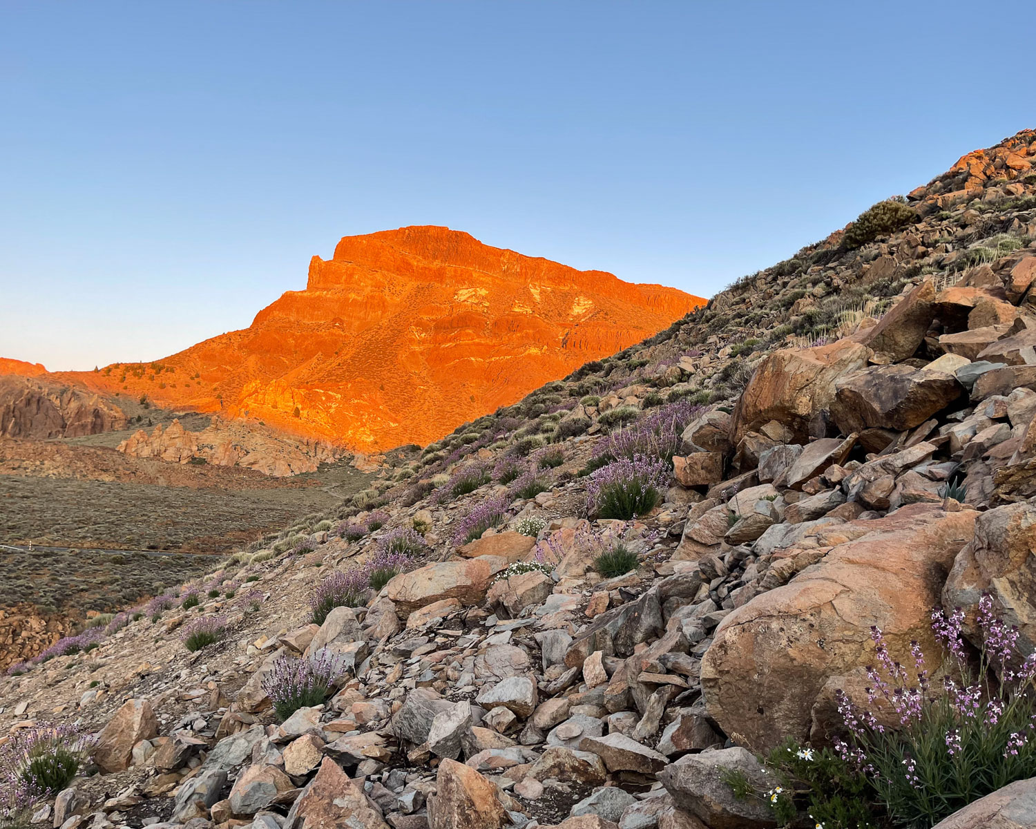 Montana Guajara at Teide National Park Tenerife Photo Heatheronhertravels.com