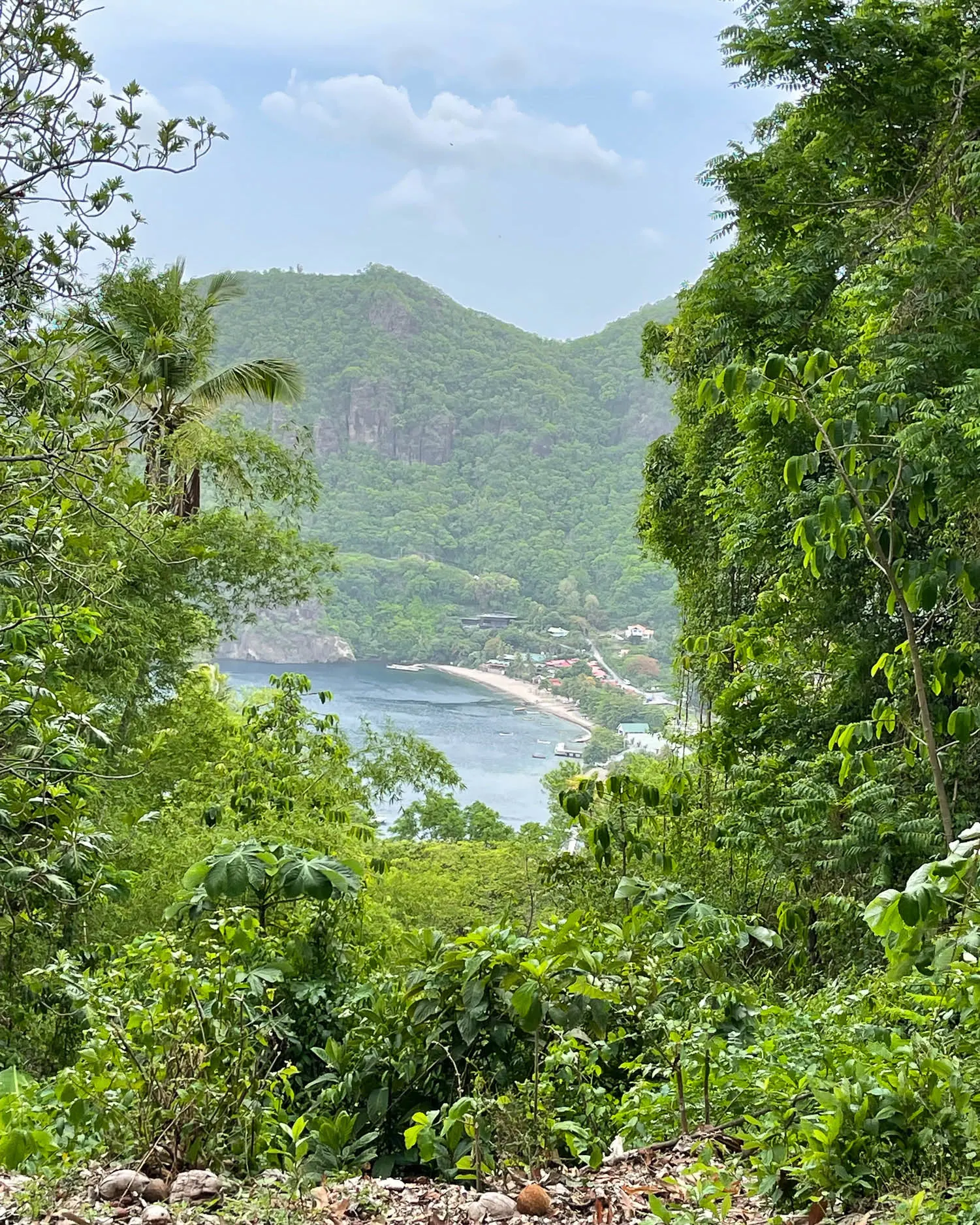 Morne Coubaril Plantation Tour Saint Lucia Photo Heatheronhertravels.com