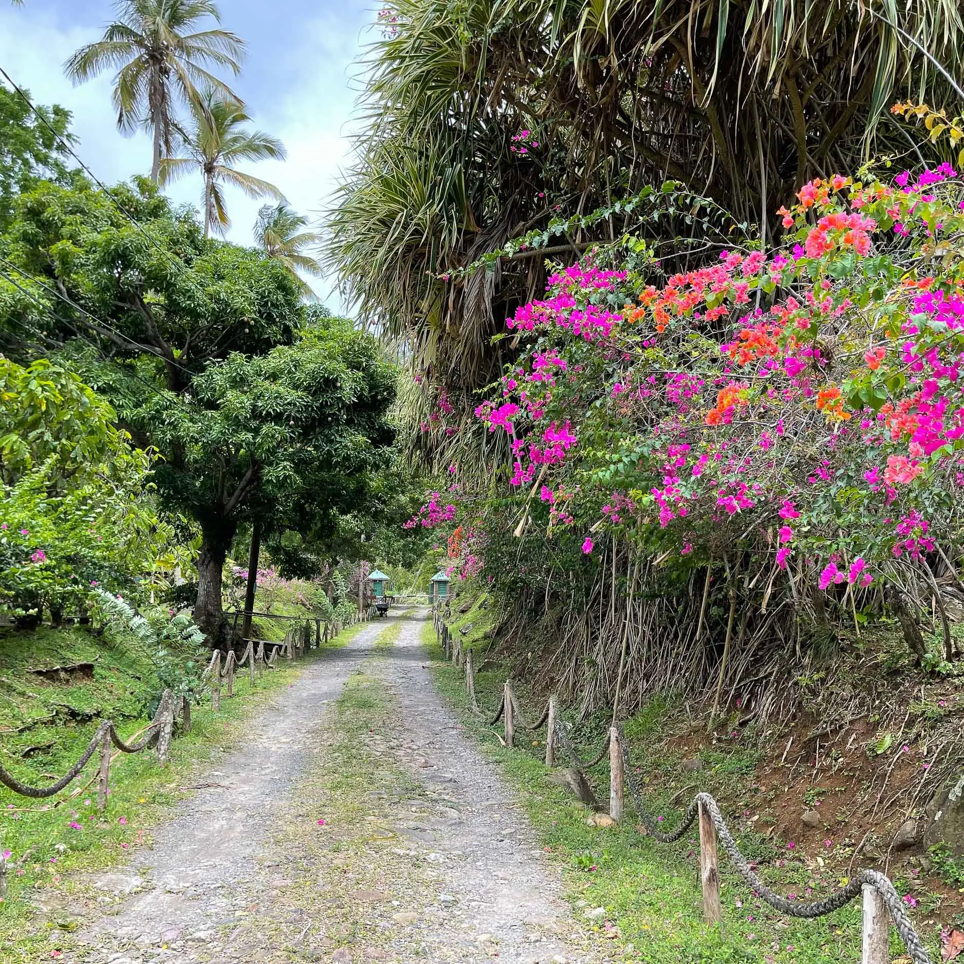 Morne Coubaril Plantation Tour Saint Lucia Photo Heatheronhertravels.com