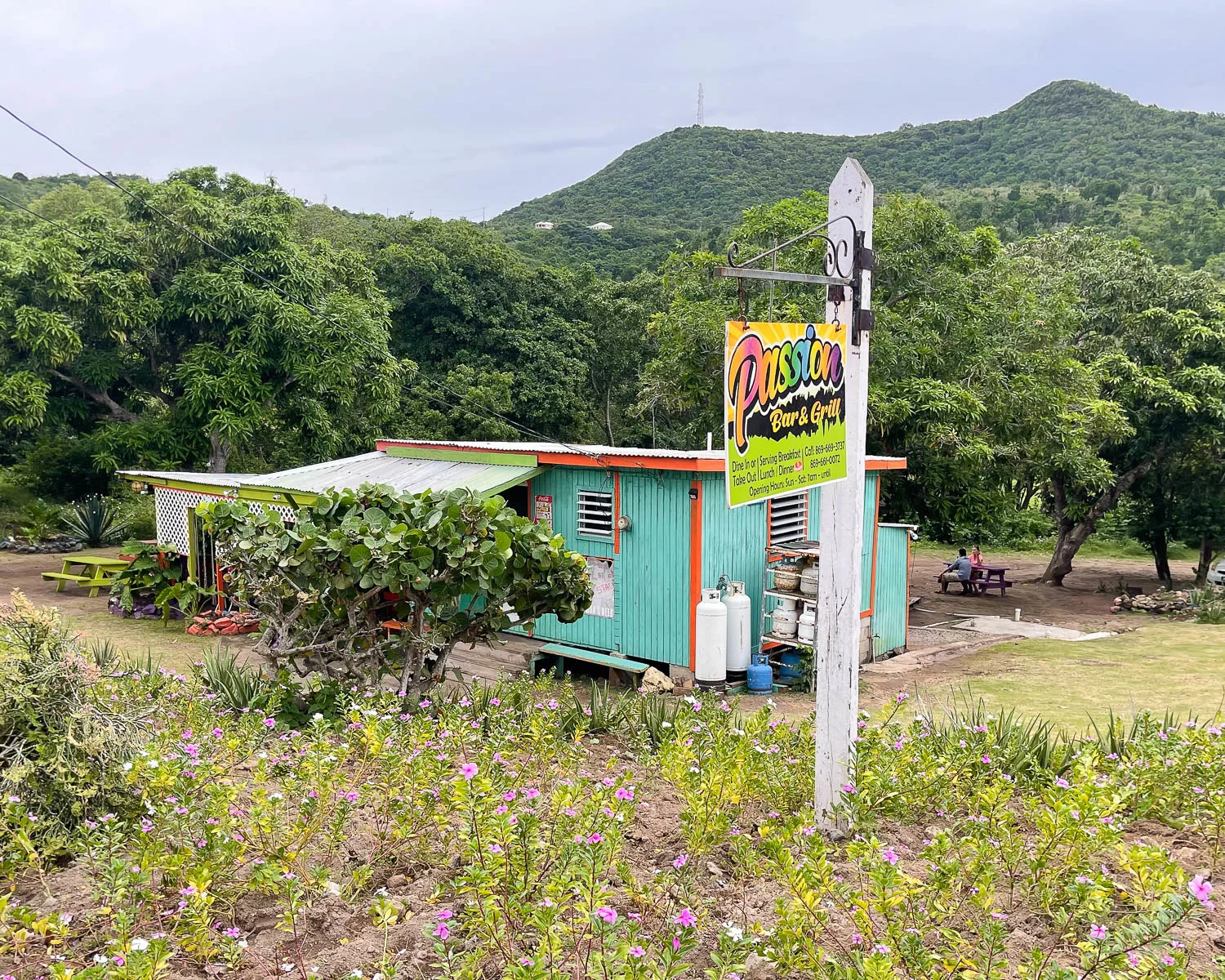 Passion bar and Grill Nevis Photo Heatheronhertravels.com