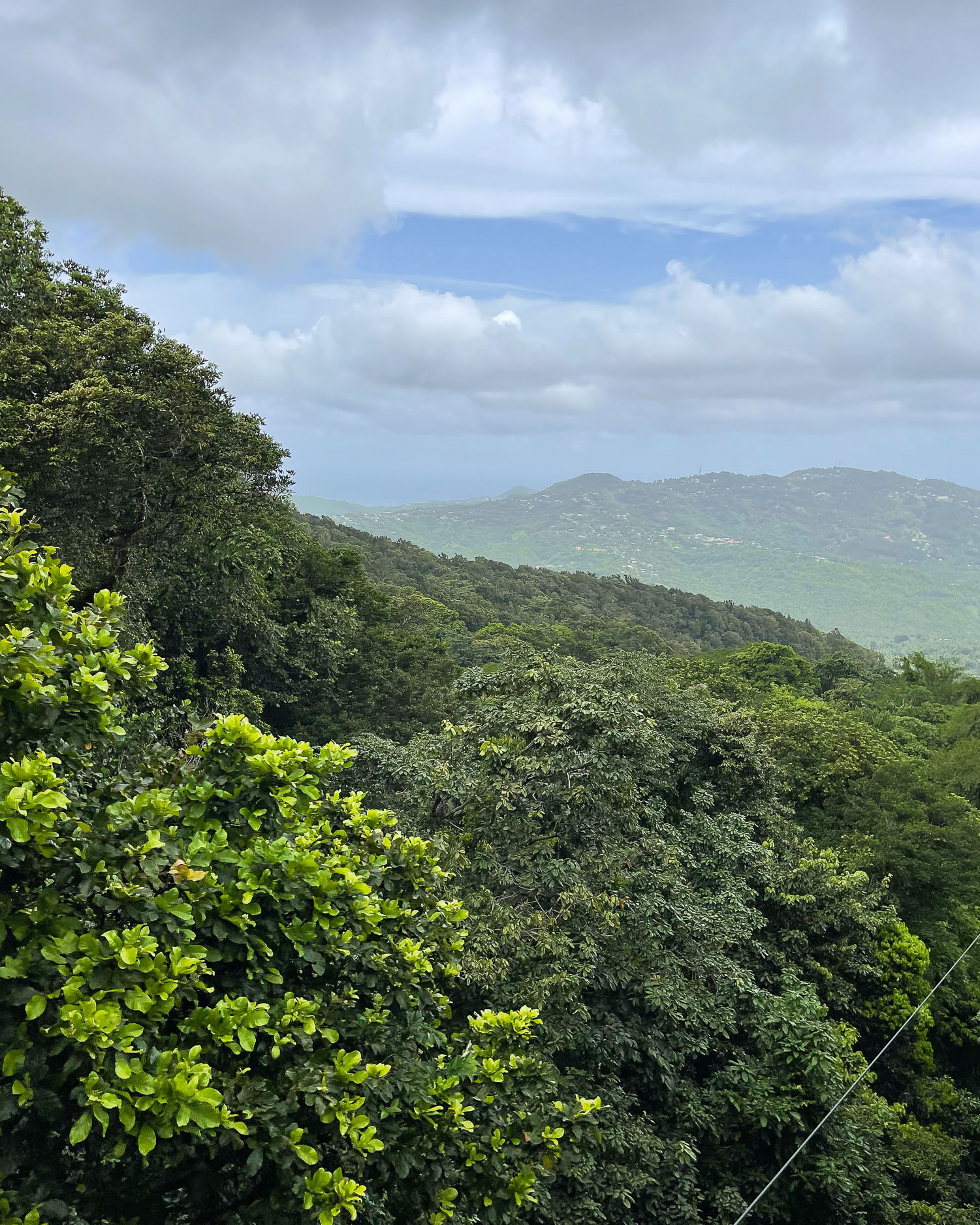 Rainforest Adventures Aerial Tram St Lucia Photo Heatheronhertravels.com