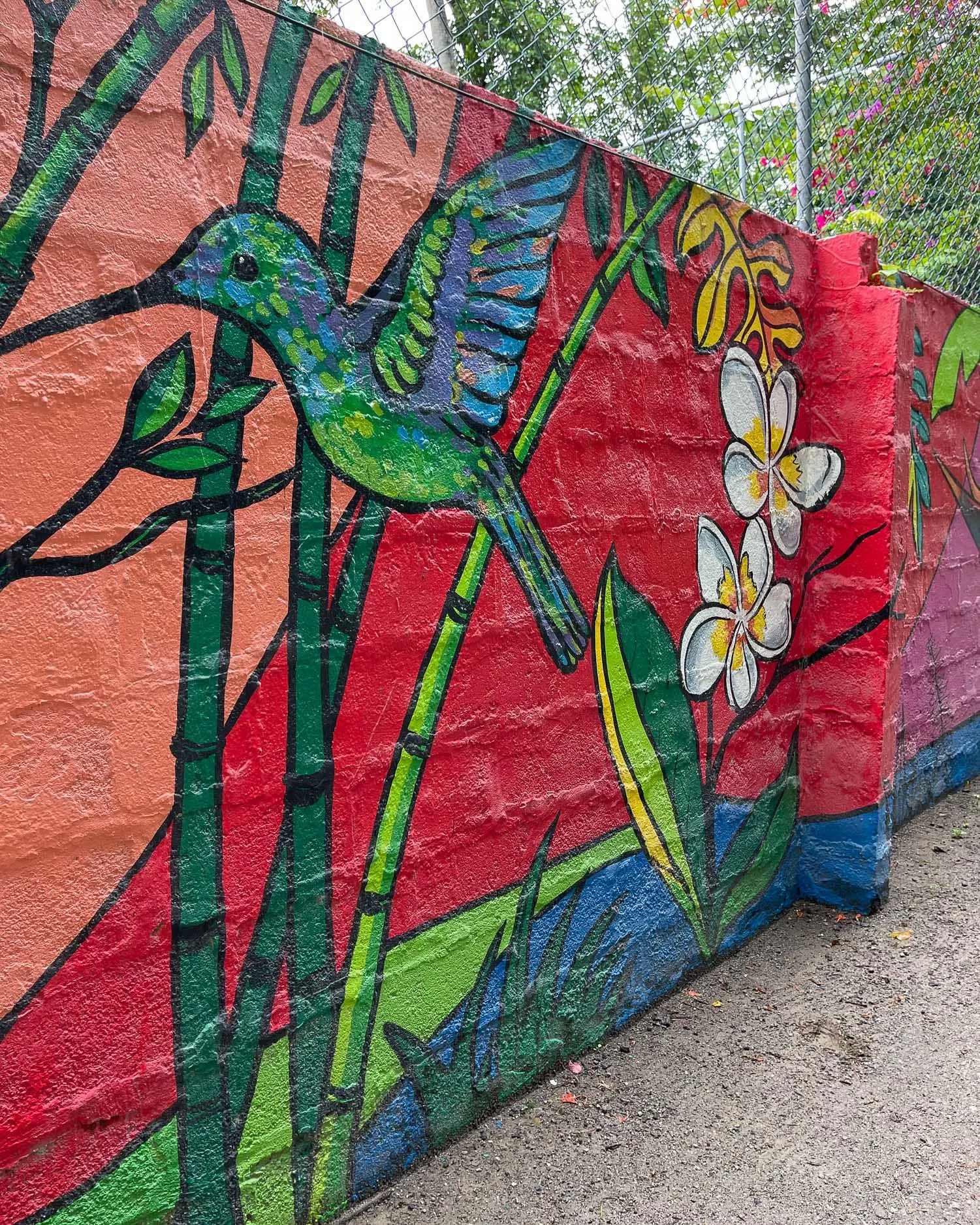 Sakey Mural Castries Market Saint Lucia Photo Heatheronhertravel