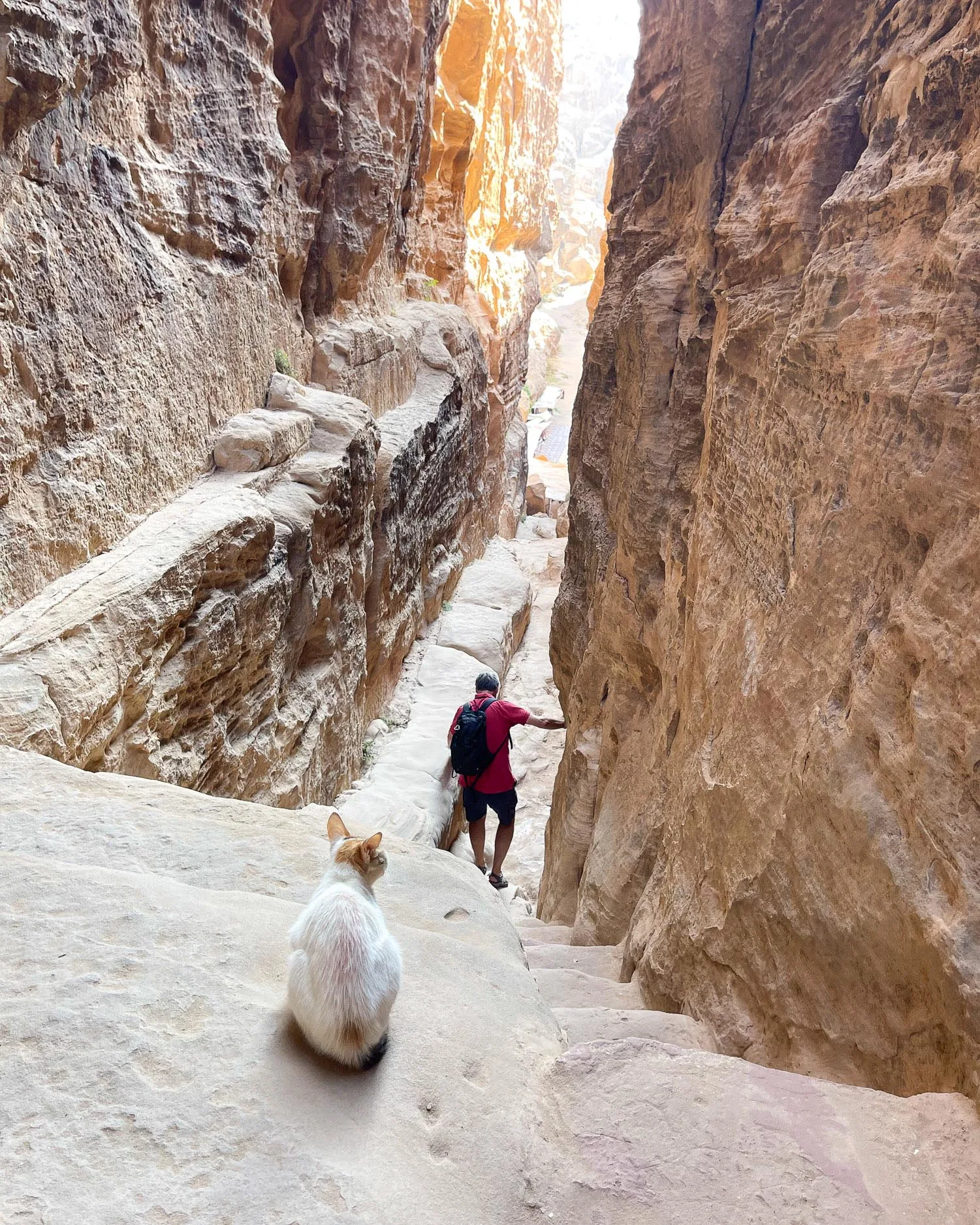 Staircase at Little Petra, Jordan Photo Heatheronhertravels.com