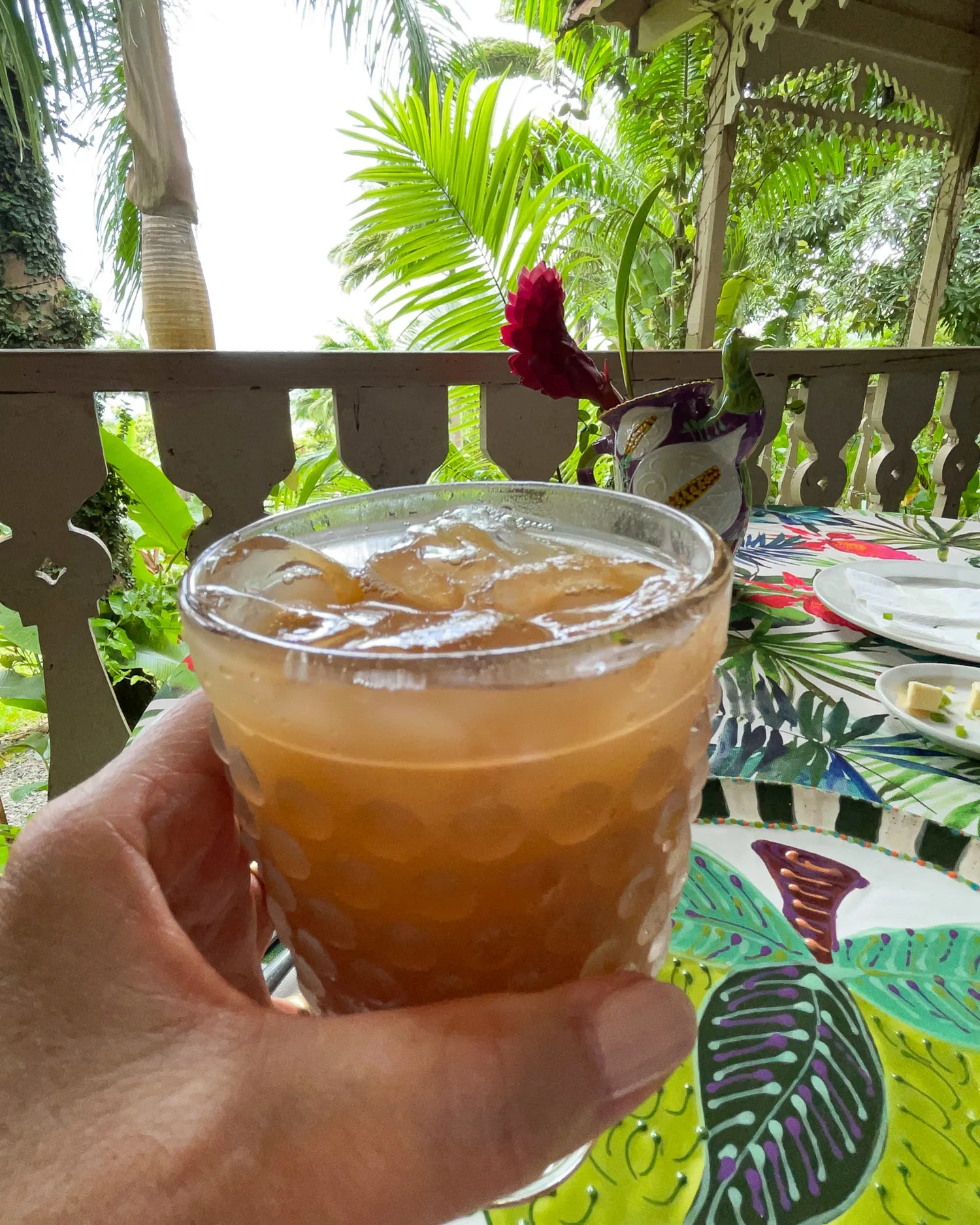 Tamarind Juice Pink Plantation Saint Lucia Photo Heatheronhertra