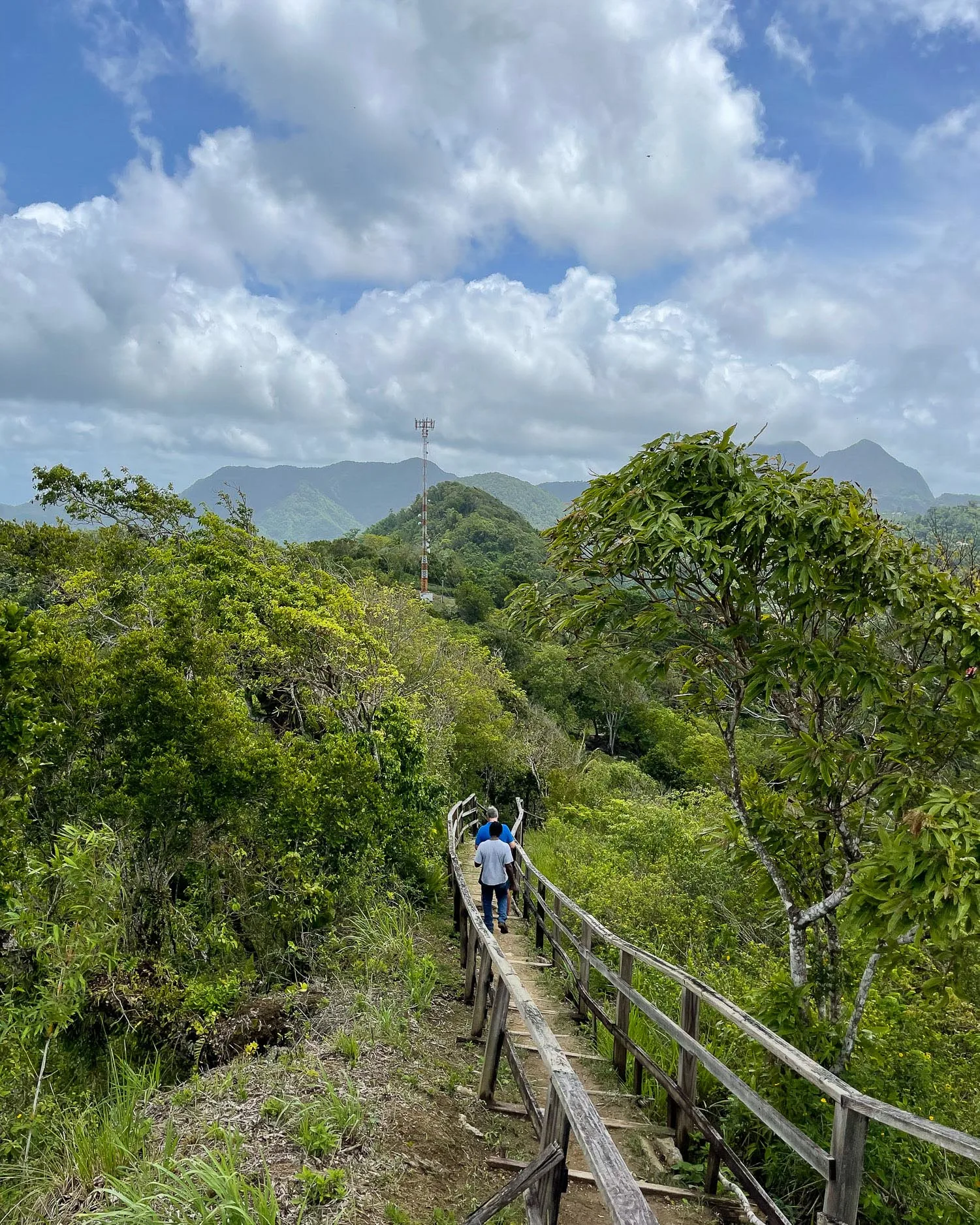 Tet Paul Nature Trail St Lucia Photo Heatheronhertravels.com