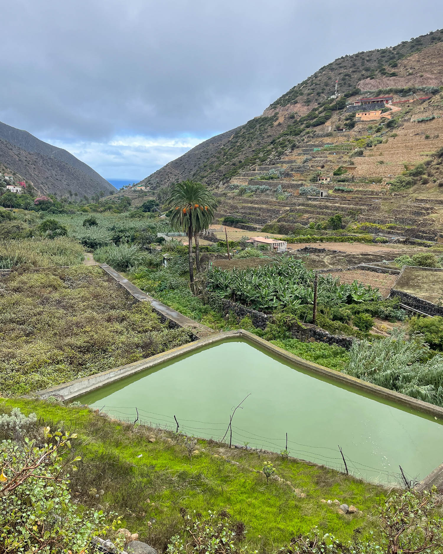 View to Playa de Vallehermoso La Gomera Photo Heatheronhertravels.com