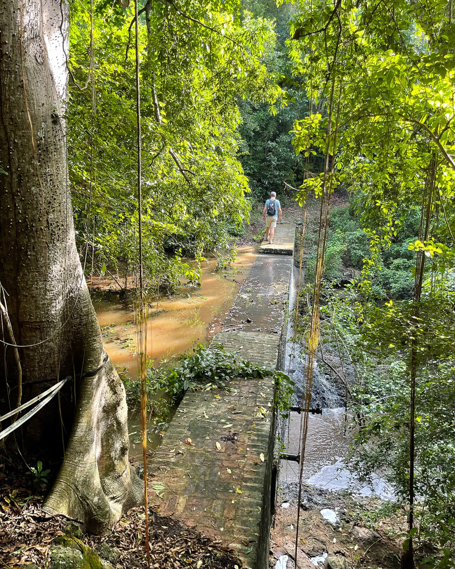 Walk to Mountravers Plantation nevis Photo Heatheronhertravels.com