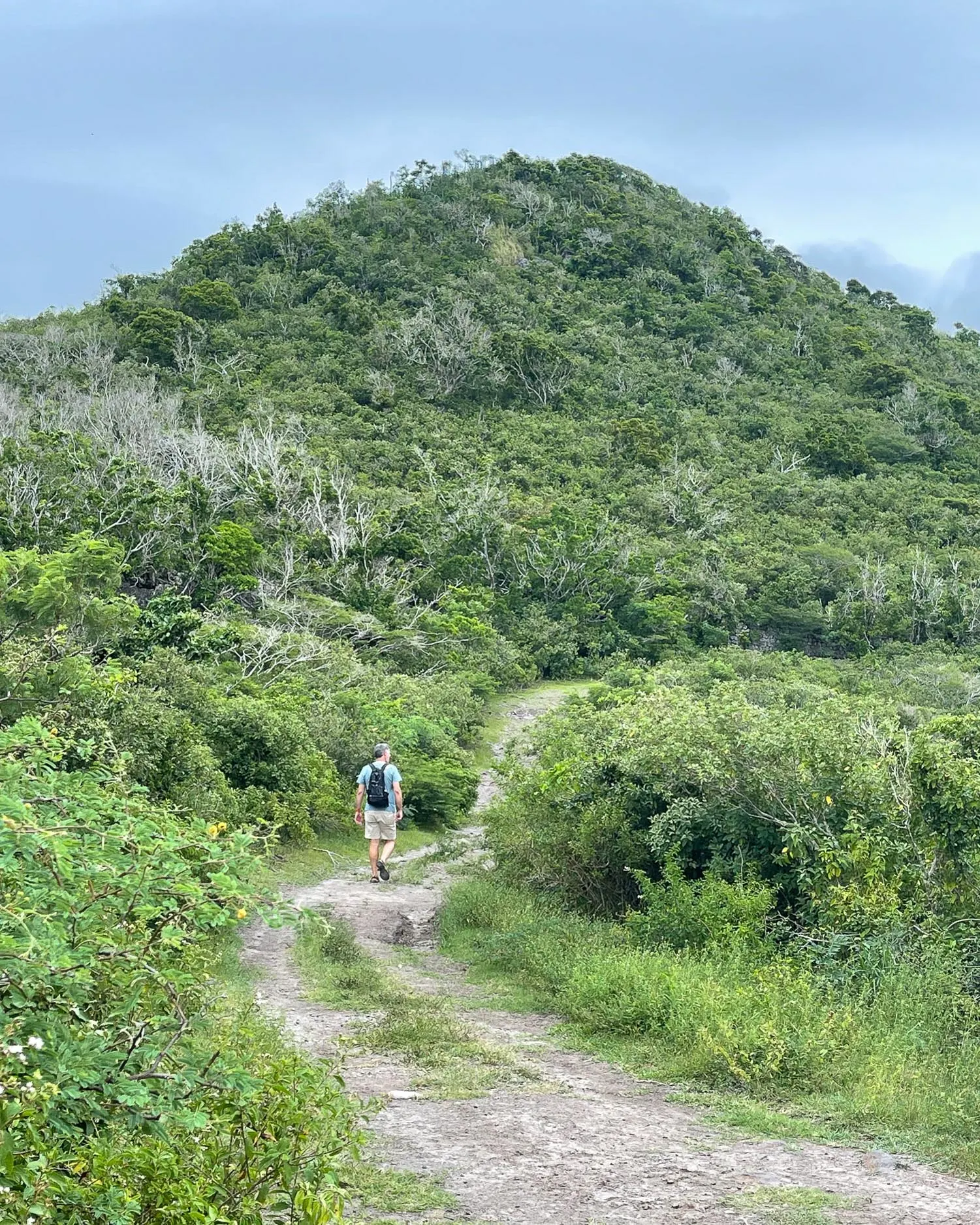 Walk to Saddle Hill Nevis Photo Heatheronhertravels.com