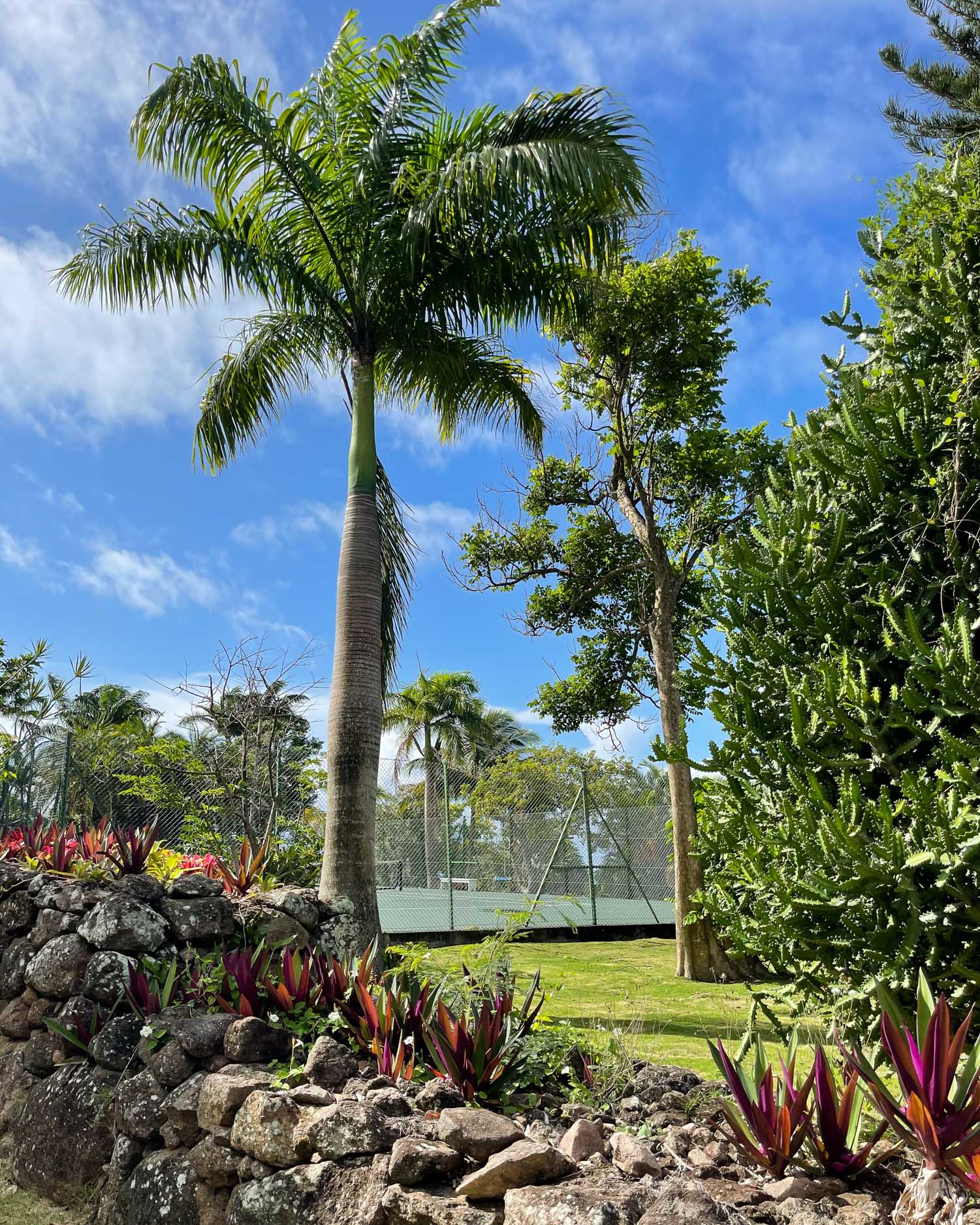 Tennis Court at Montpelier Plantation and Beach nevis Photo Heatheronhertravels.com