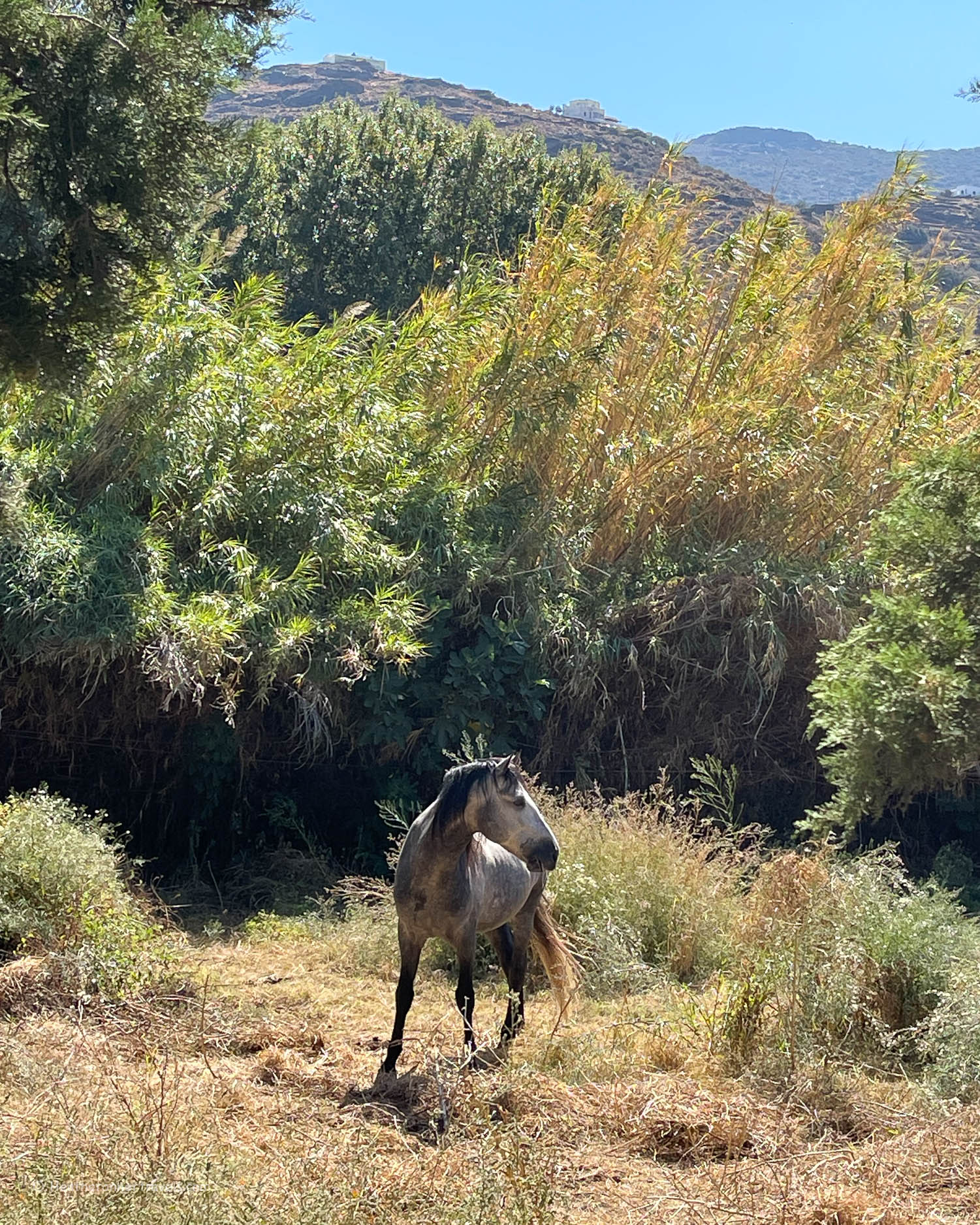 Livadia - Hiking in Andros Greece Photo © Heatheronhertravels.com