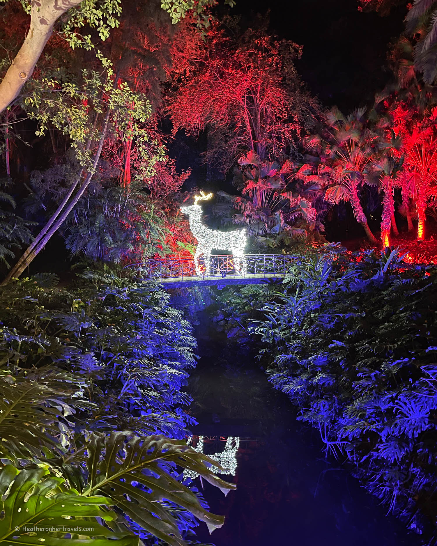 Light Trail at the Botanical Garden in Malaga Spain © Heatheronhertravels.com