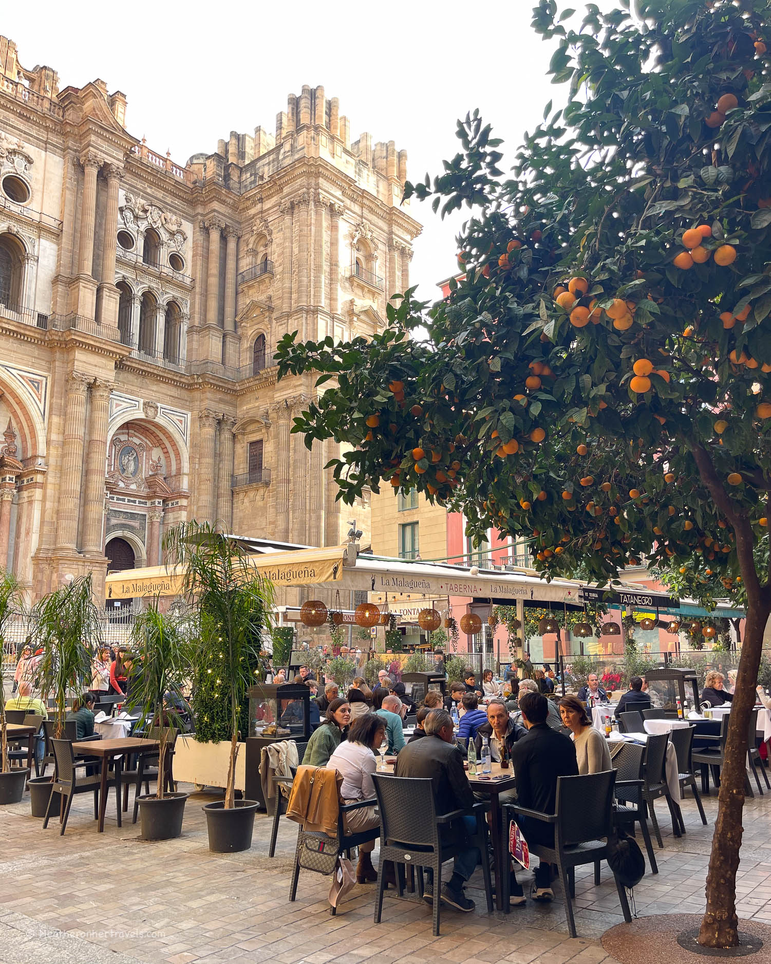 Al Fresco lunch in Malaga Spain © Heatheronhertravels.com