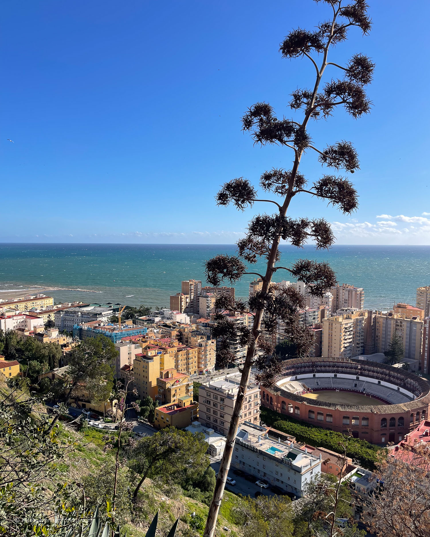 Views over Malaga Spain © Heatheronhertravels.com